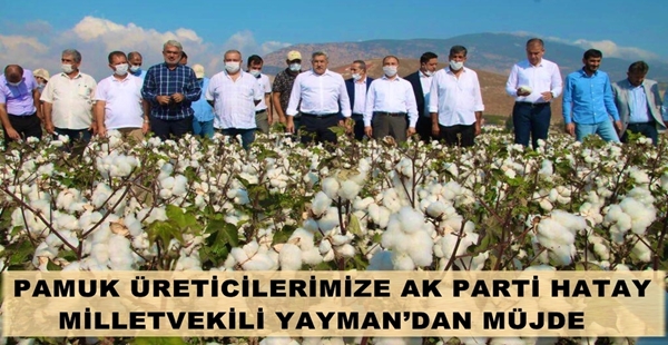 PAMUK ÜRETİCİLERİMİZE AK PARTİ HATAY MİLLETVEKİLİ YAYMAN’DAN MÜJDE