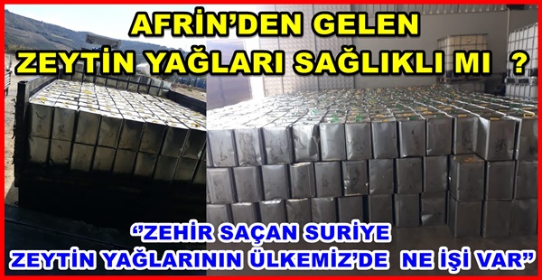 AFRİN’DEN GELEN  ZEYTİN YAĞLARI  SAĞLIKLI MI ?