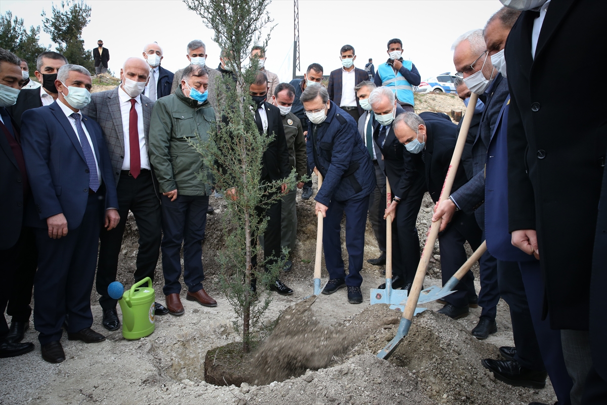 TOBB, Belen’de geçen yıl yanan ormanlara 31 bin fidan dikti