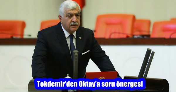 Tokdemir’den Oktay’a soru önergesi