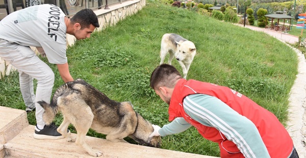 Ramazan ayında sessiz dostlar unutulmadı