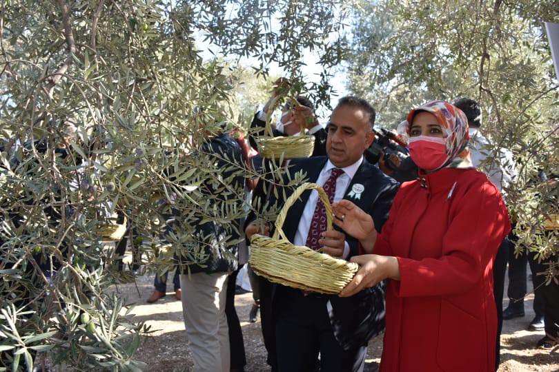 “ALTINÖZÜ’NDE ŞENLİK VAR”