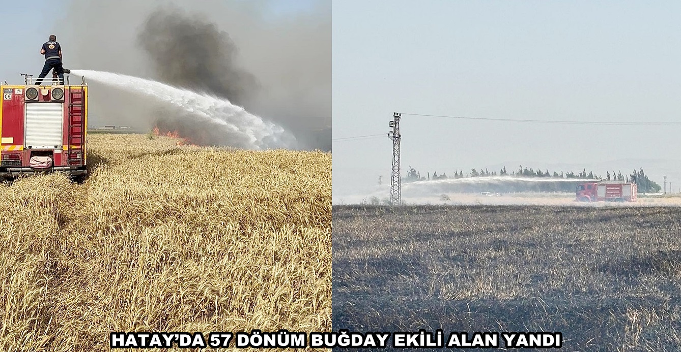 HATAY’DA 57 DÖNÜM BUĞDAY EKİLİ ALAN YANDI