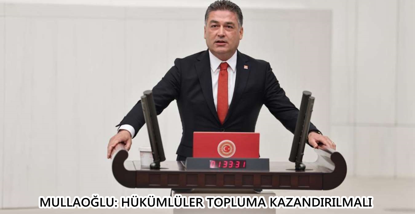 CHP Hatay Milletvekili Servet Mullaoğlu, Ceza ve Güvenlik Tedbirlerinin İnfazı