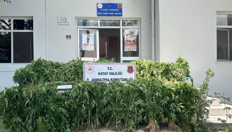 HATAY’DA KAMU ARAZİSİNE UYUŞTURUCU EKEN ŞAHIS GÖZALTINA ALINDI