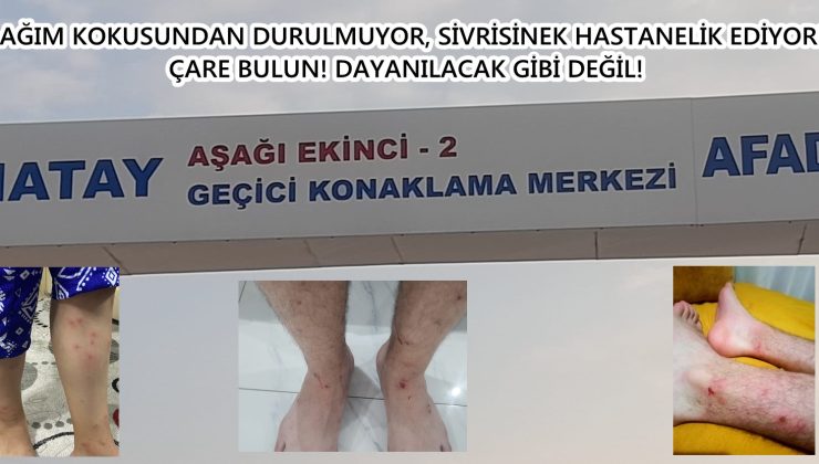 LAĞIM KOKUSUNDAN DURULMUYOR, SİVRİSİNEK HASTANELİK EDİYOR!  ÇARE BULUN! DAYANILACAK GİBİ DEĞİL!