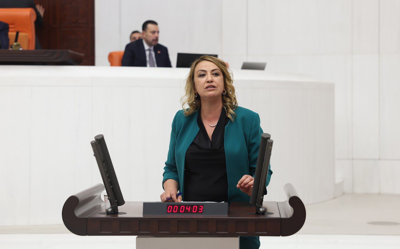 Cumhuriyet Halk Partisi Hatay Milletvekili Nermin Yıldırım Kara, Defne ilçesindeki