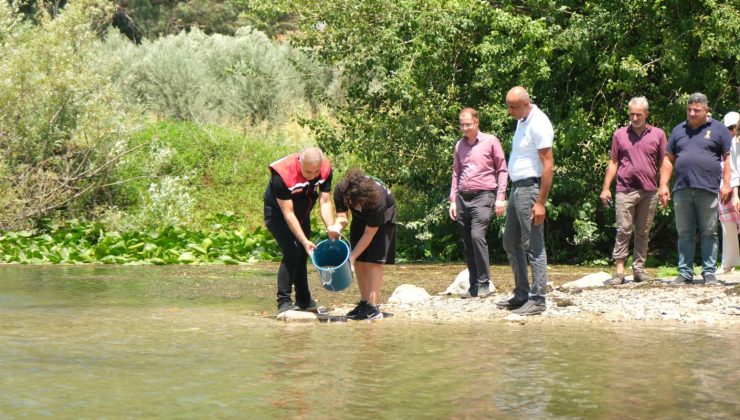 KIRIKHAN GÖLBAŞI GÖLÜ’NE 513 BİN SAZAN BALIĞI BIRAKILDI