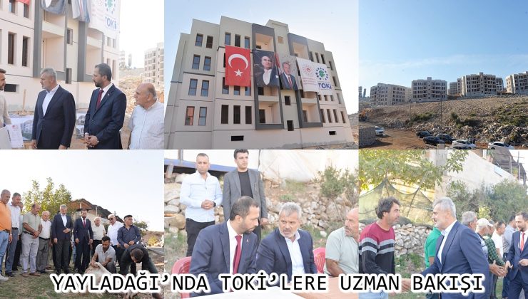 YAYLADAĞI’NDA TOKİ’LERE UZMAN BAKIŞI