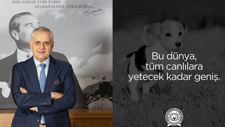 ÇİNÇİN: YAŞAMA HAKKINA SAYGI GÖSTER