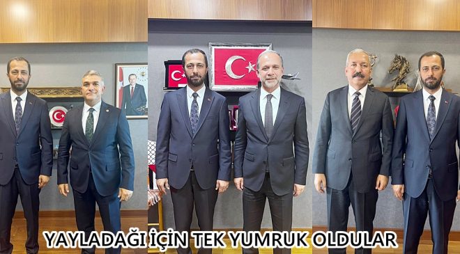 YAYLADAĞI İÇİN TEK YUMRUK OLDULAR