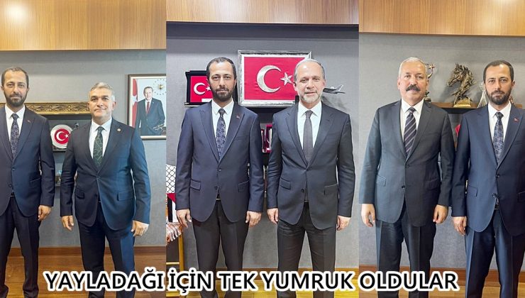 YAYLADAĞI İÇİN TEK YUMRUK OLDULAR