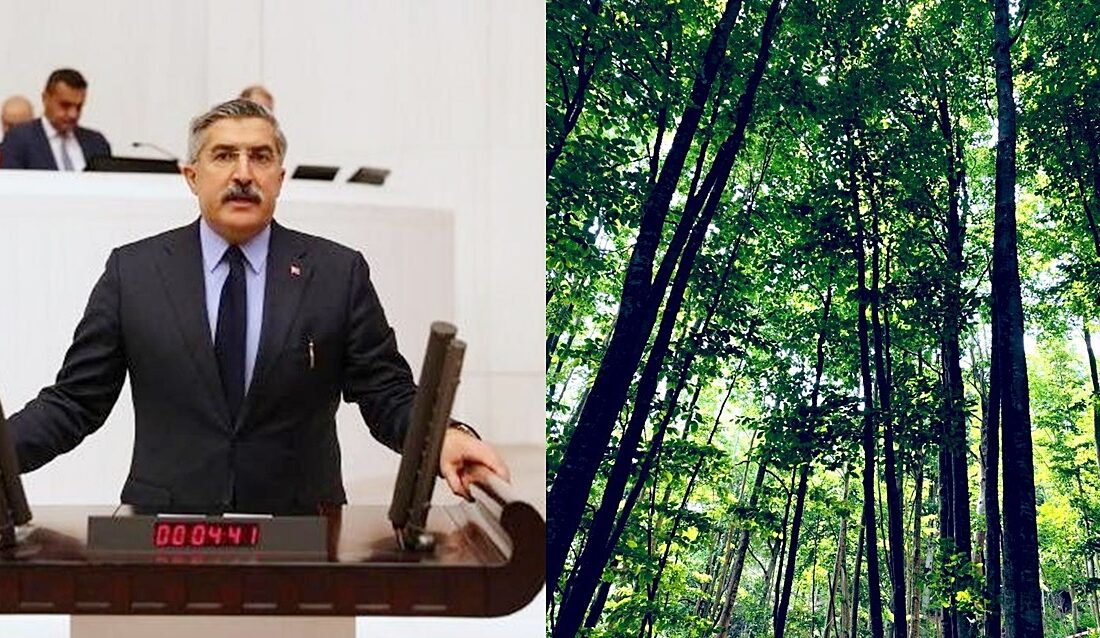 AK Parti Genel Başkan Yardımcısı ve Hatay Milletvekili Hüseyin Yayman,