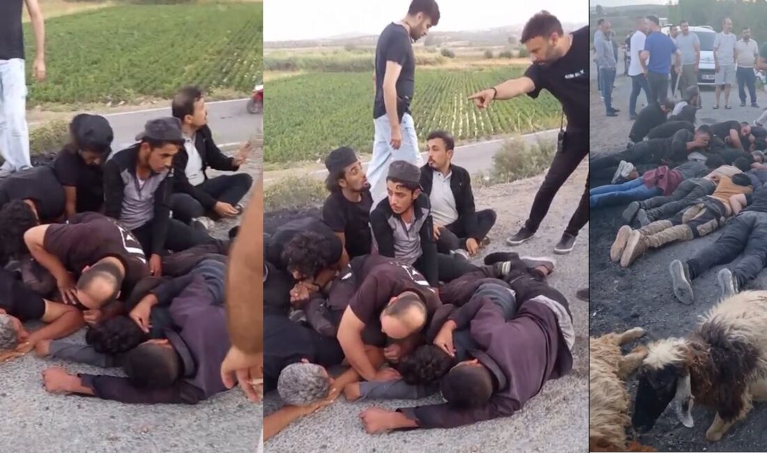 Hatay’ın Antakya ilçesine bağlı Madenboyu Mahallesi yakınlarında içi mülteci dolu