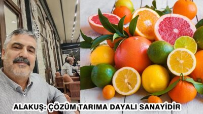 Türkiye’nin yıllık 5 milyon tonluk narenciye üretim kapasitesine rağmen üreticinin