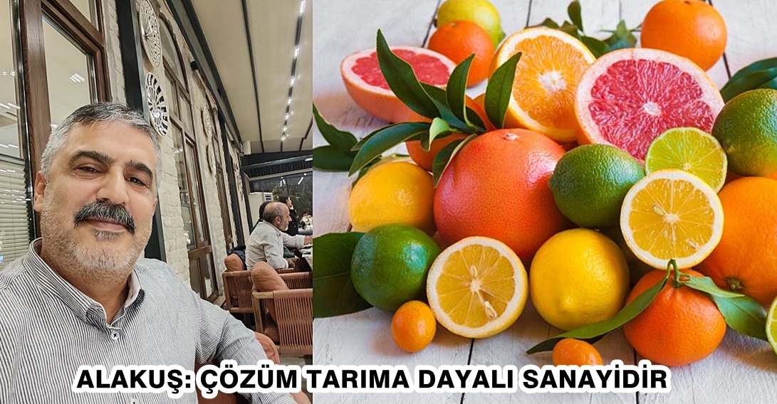 Türkiye’nin yıllık 5 milyon tonluk narenciye üretim kapasitesine rağmen üreticinin