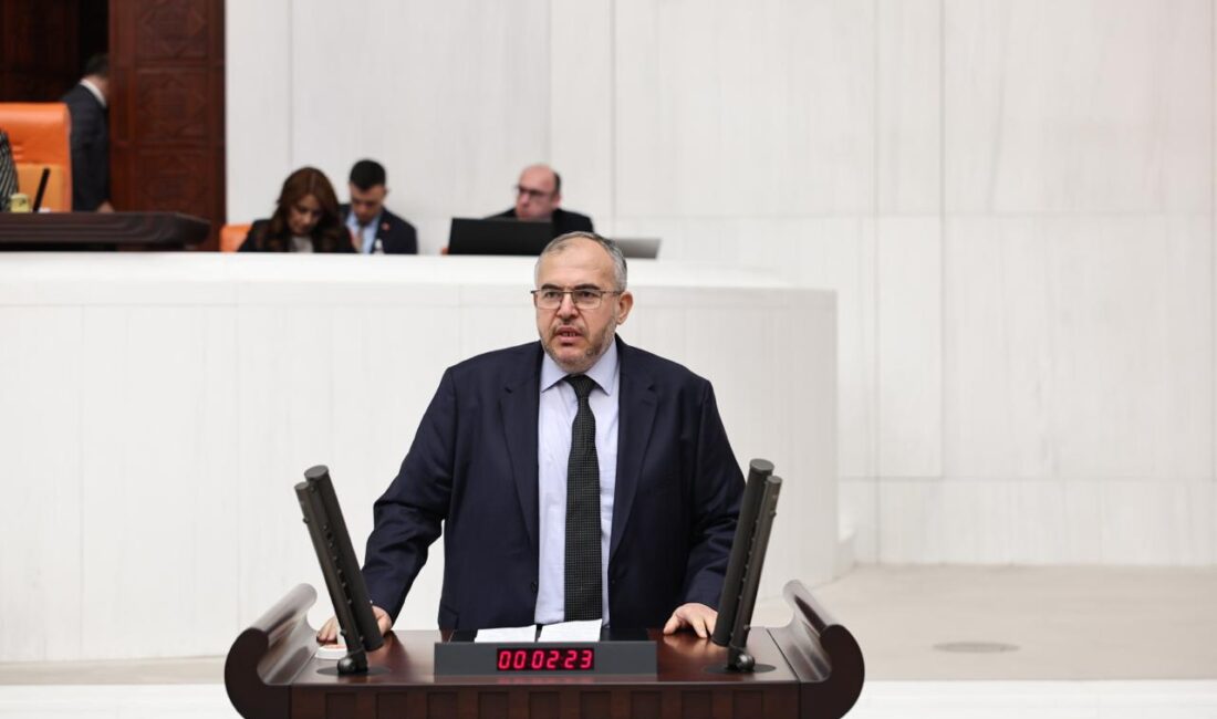 Saadet Partisi Hatay Milletvekili Doç. Dr. Necmettin Çalışkan, hükümetin sunduğu bütçeyi