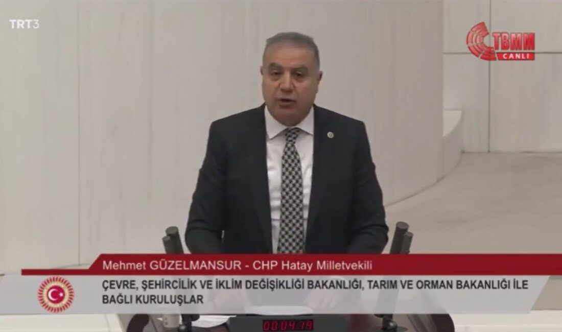CHP Hatay Milletvekili Mehmet Güzelmansur, TBMM Genel Kurulu’nda yaptığı konuşmada,
