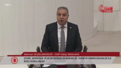 CHP Hatay Milletvekili Mehmet Güzelmansur, TBMM Genel Kurulu’nda yaptığı konuşmada,
