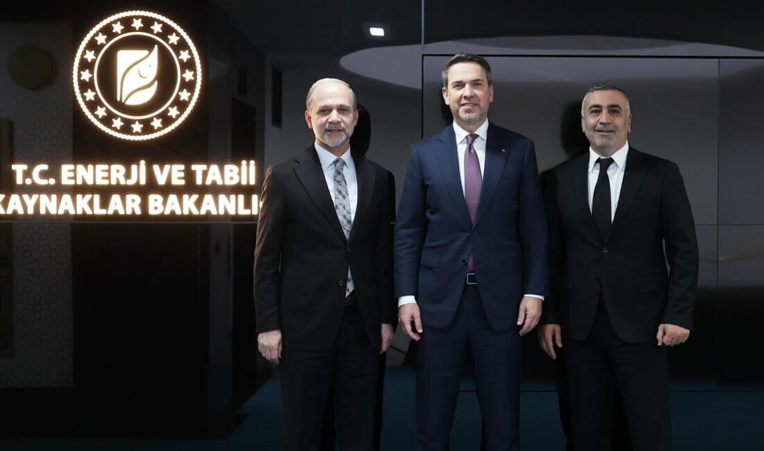AK Parti Hatay Milletvekili Av. Abdulkadir Özel, Enerji ve Tabii