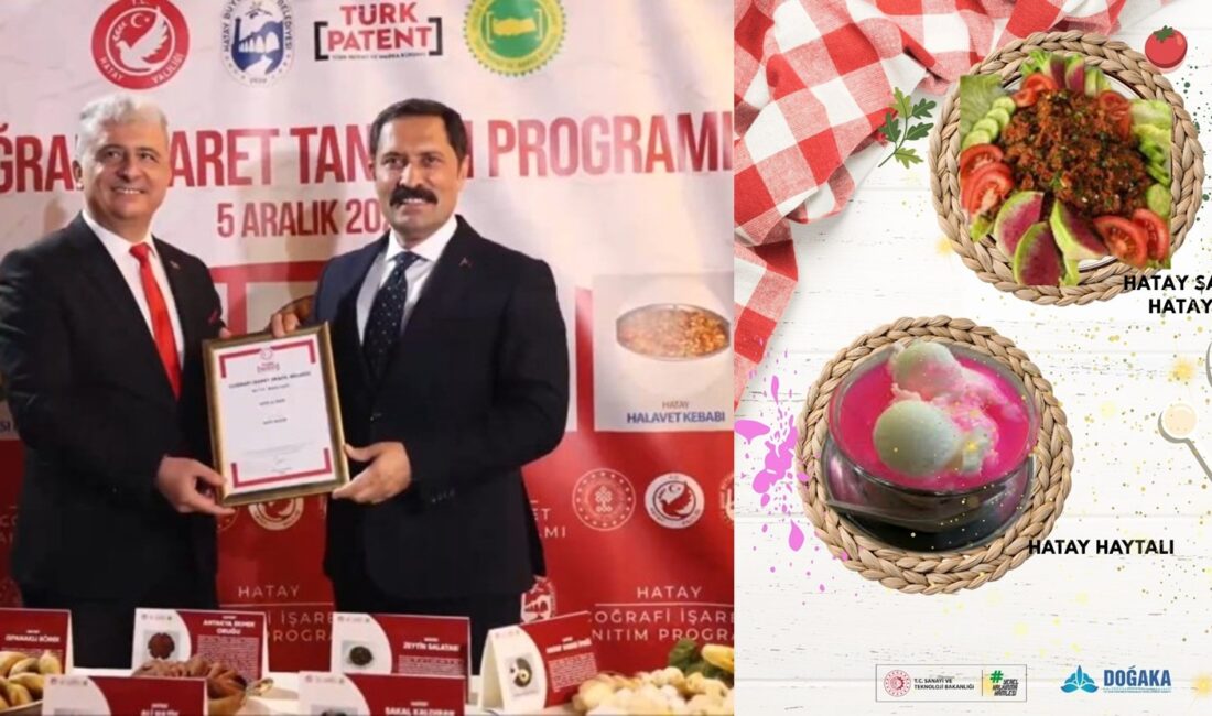 Hatay Valisi Mustafa Masatlı’nın tam desteği, İl Planlama ve Koordinasyon