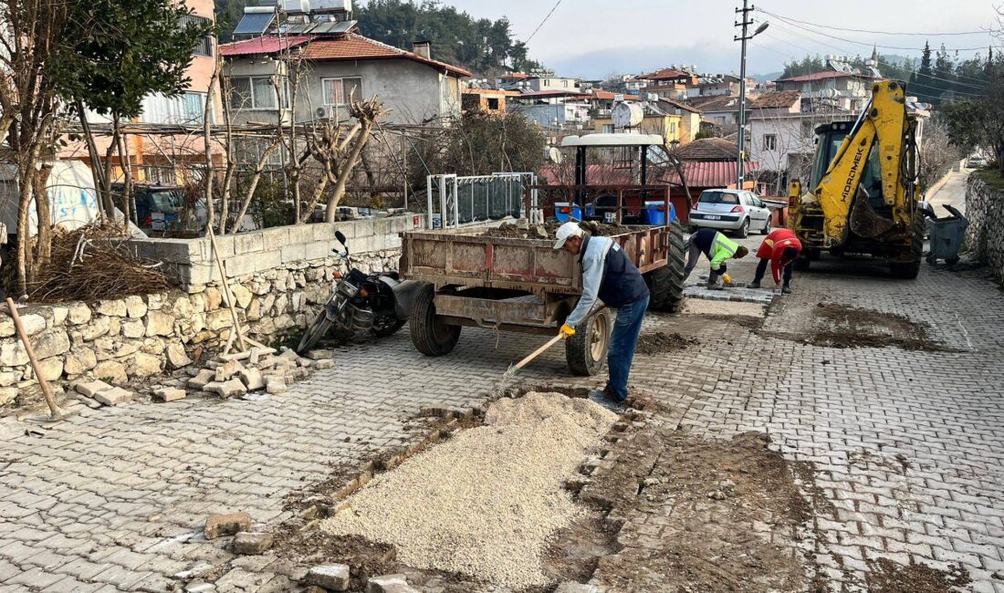 Yayladağı Belediye Başkanı Mehmet Yalçın, ilçe genelinde yürütülen saha çalışmalarına