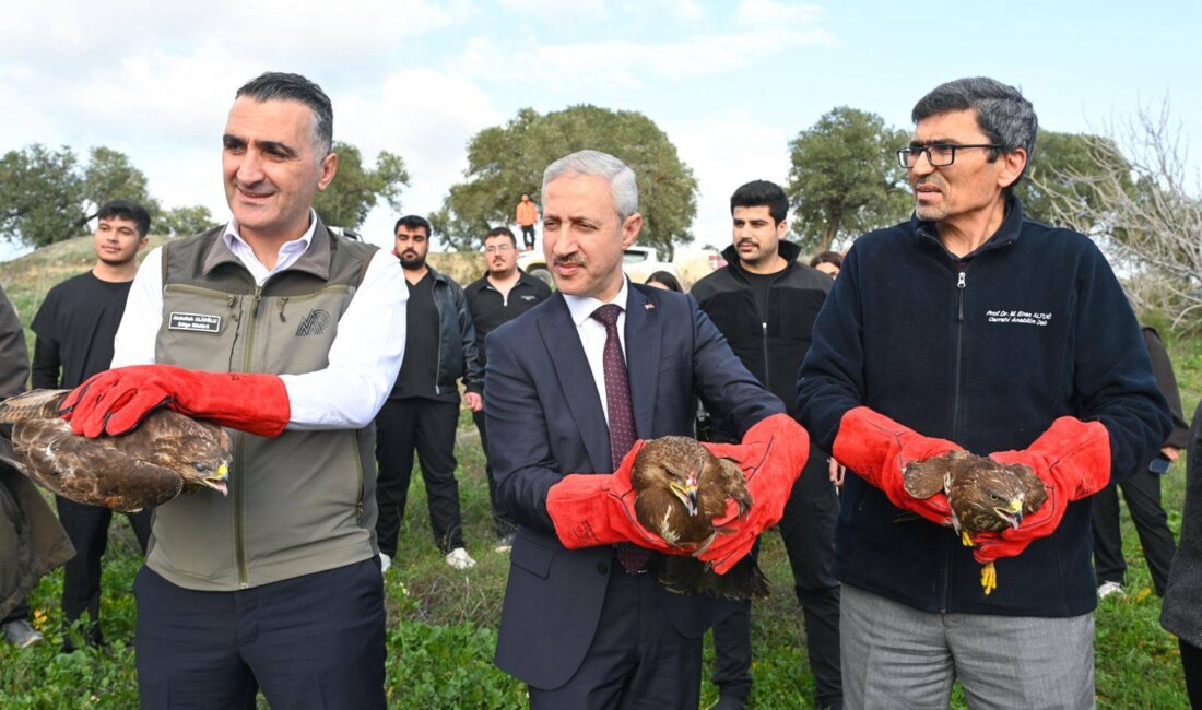 Hatay Mustafa Kemal Üniversitesi (HMKÜ) Veteriner Sağlık Uygulama ve Araştırma