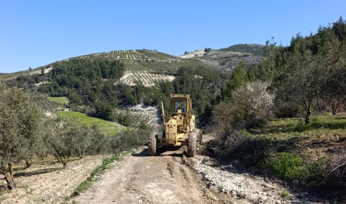 Yayladağı Belediye Başkanı Mehmet Yalçın, 9–15 Mart 2026 tarihleri arasında