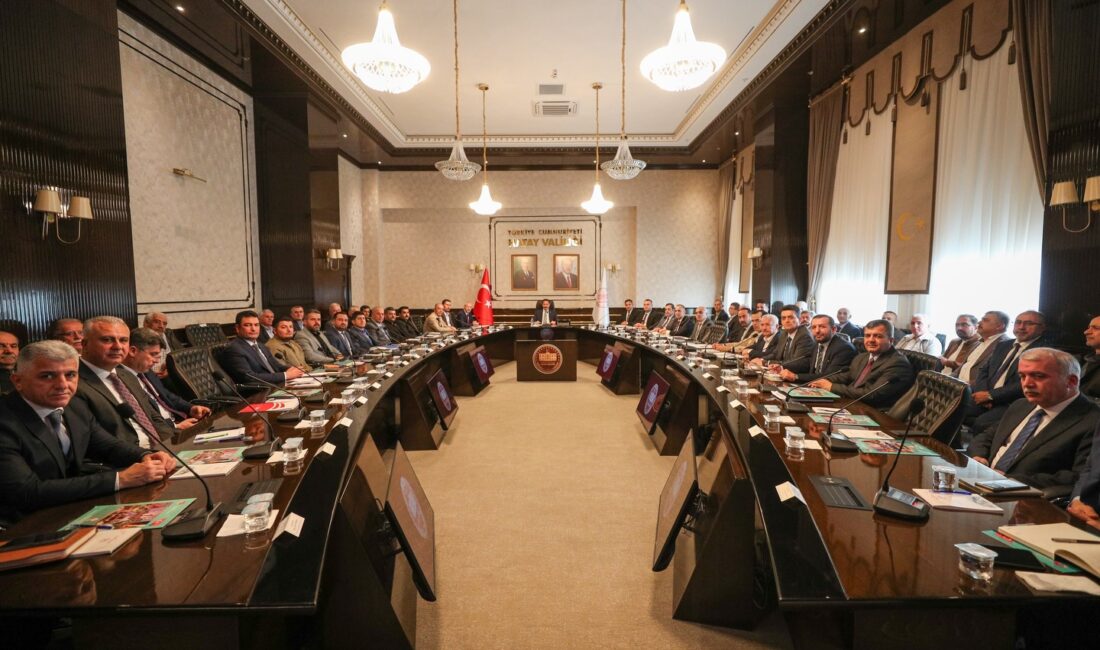 Sanayi ve Teknoloji İşbirliği Kurulu (SANTEK) Toplantısı, Hatay Valisi Mustafa