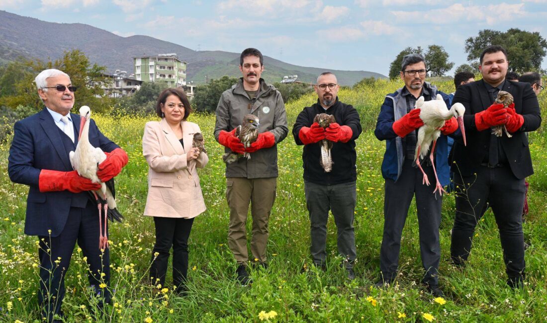 Hatay Mustafa Kemal Üniversitesi (HMKÜ) Veteriner Sağlık Uygulama ve Araştırma
