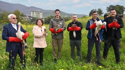Hatay Mustafa Kemal Üniversitesi (HMKÜ) Veteriner Sağlık Uygulama ve Araştırma