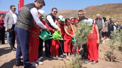 Hatay’ın yeşil dokusunu güçlendirmek, orman yangınlarından zarar gören alanları yeniden