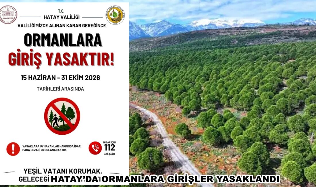 HATAY’DA ORMANLARA GİRİŞLER YASAKLANDI Hatay’da yaz mevsimiyle birlikte artan sıcaklıklar ve orman yangını riski