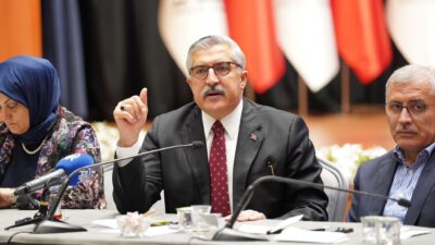 AK Parti Genel Başkan Yardımcısı ve Kültür ve Sanat Politikaları