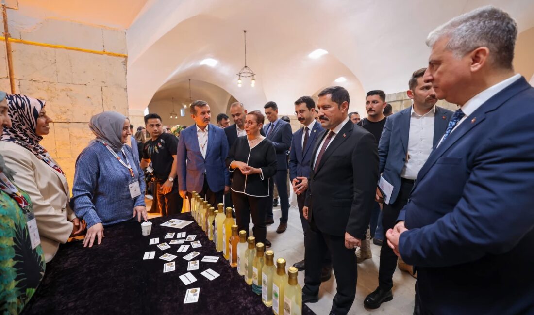Hatay Valisi Mustafa Masatlı, Türkiye’nin Depremden Etkilenen Bölgelerinde Sürdürülebilir İstihdam