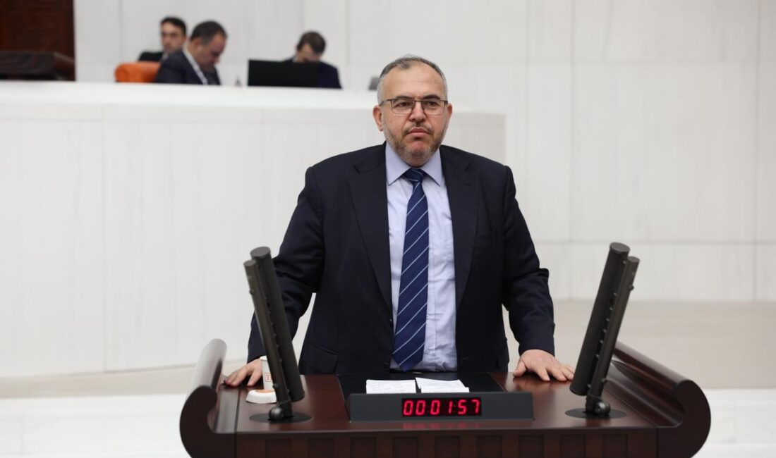 Saadet Partisi Hatay Milletvekili Doç. Dr. Necmettin Çalışkan, TBMM Genel