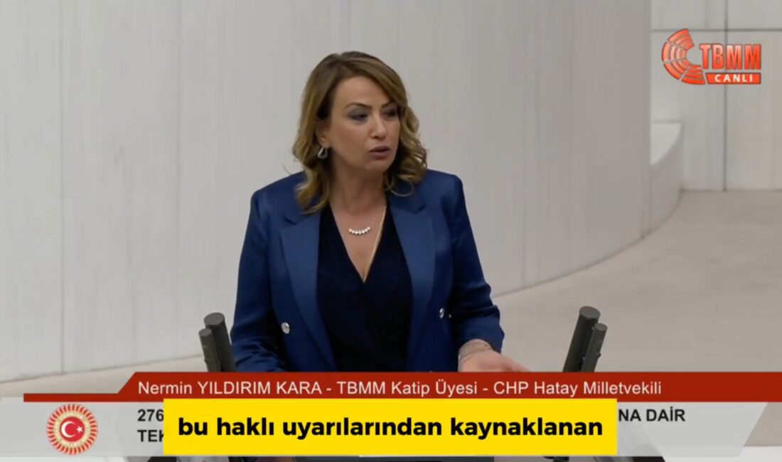 CHP Hatay Milletvekili Nermin Yıldırım Kara, Türkiye Büyük Millet Meclisi
