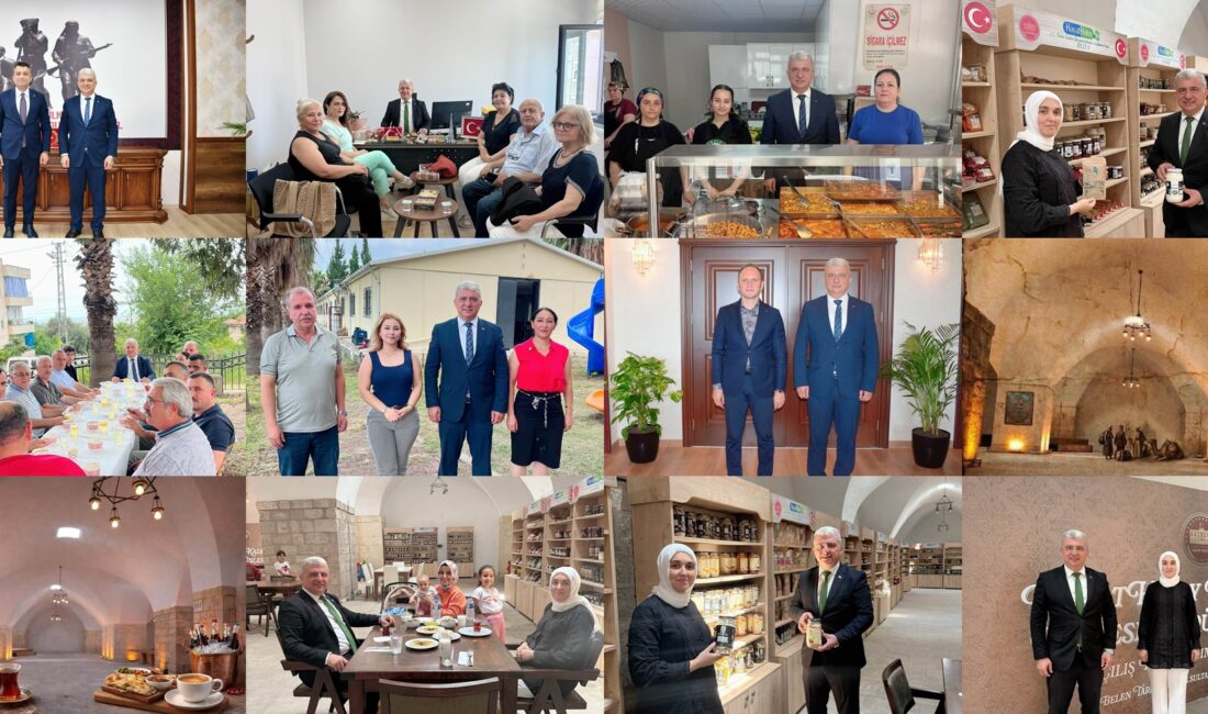 Hatay Valiliği İl Planlama ve Koordinasyon Müdürü Mustafa Örgüt, Hatay