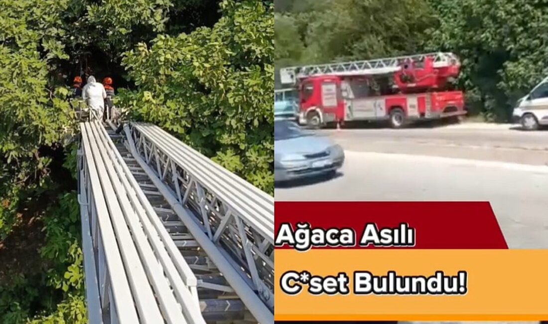 Hatay’ın Antakya ilçesinde ağaçlık alanda ağaca asılı halde bulunan erkek
