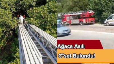 Hatay’ın Antakya ilçesinde ağaçlık alanda ağaca asılı halde bulunan erkek