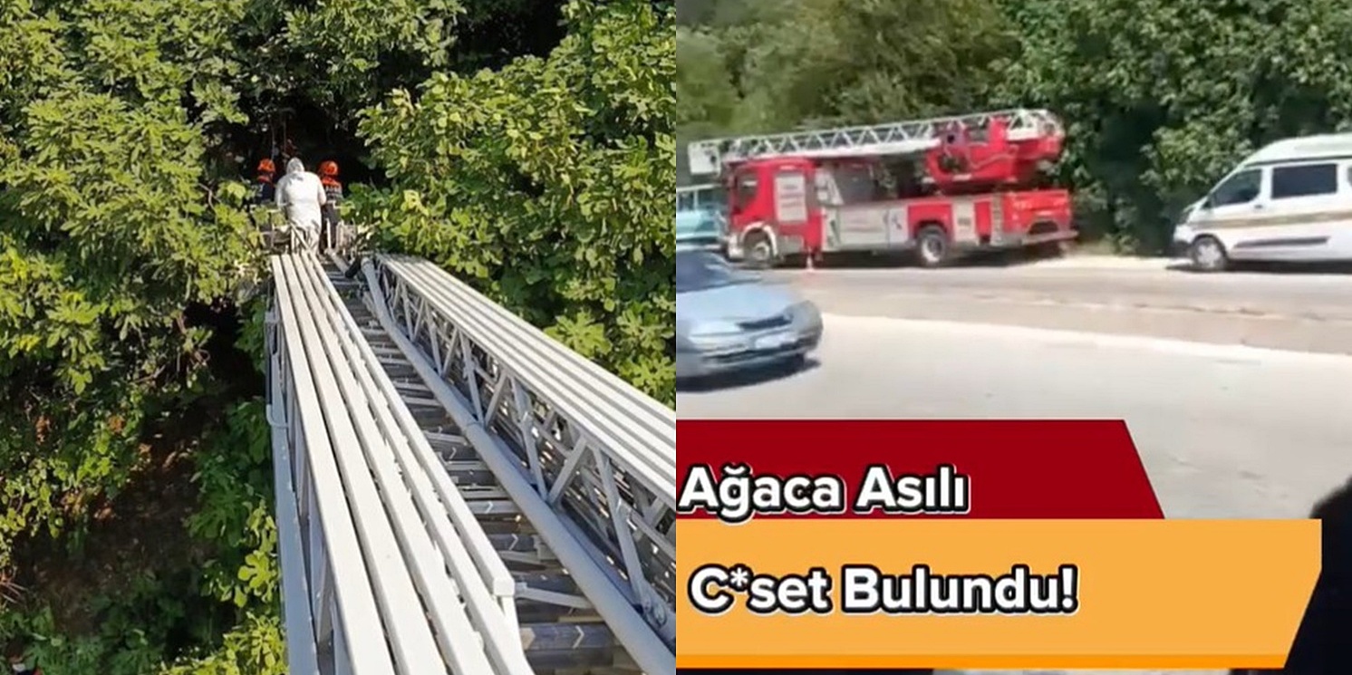 Hatay’ın Antakya ilçesinde ağaçlık alanda ağaca asılı halde bulunan erkek