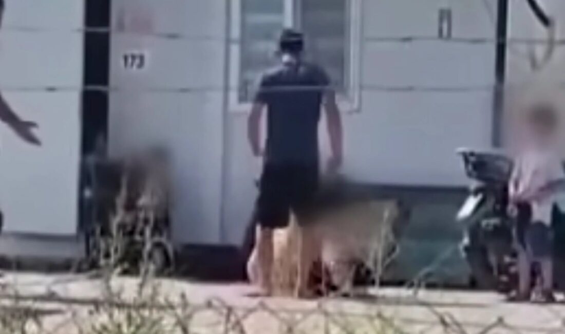 ÇOCUKLARININ GÖZÜ ÖNÜNDE EŞİNİ DARP EDEN ŞAHIS TUTUKLANDI Hatay’ın Kırıkhan ilçesinde, çocuklarının gözü önünde eşine şiddet uyguladığı tespit