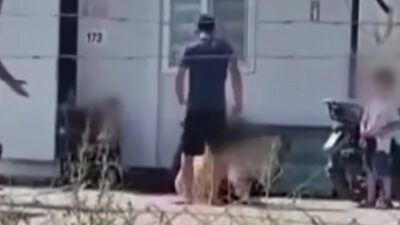ÇOCUKLARININ GÖZÜ ÖNÜNDE EŞİNİ DARP EDEN ŞAHIS TUTUKLANDI Hatay’ın Kırıkhan ilçesinde, çocuklarının gözü önünde eşine şiddet uyguladığı tespit
