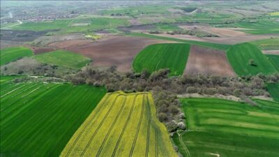 HASSA’DA 2/B SÜRECİ BAŞLADI Hatay’ın Hassa ilçesinde 2/B statüsündeki taşınmazların hak sahiplerine satışına yönelik