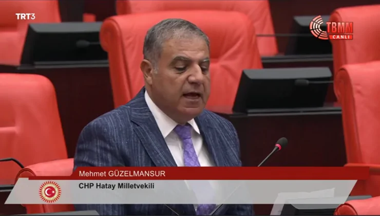 GÜZELMANSUR HATAY’IN SORUNLARINI TBMM’YE TAŞIDI